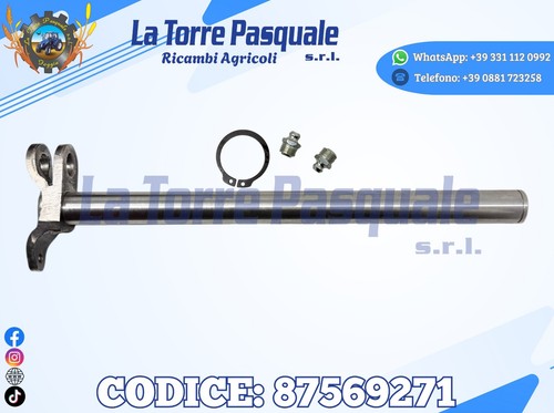 5086574 4959313 albero - 5086574,